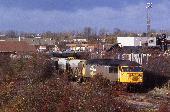 16_101_87.jpg