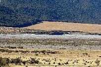 2014_02_20_2028a_www.jpg