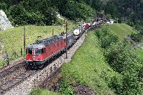 2013_06_28_0484_www.jpg