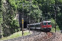 2013_06_28_0508_www.JPG
